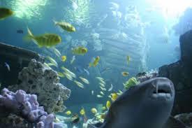 Mořský svět Mnichov