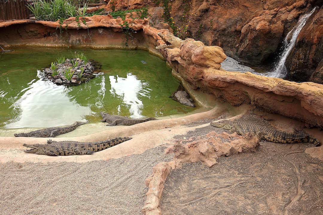 Rancho Texas Lanzarote park
