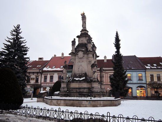 Súsošie Immaculaty