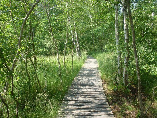 Národní přírodní rezervace Soos