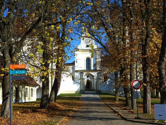 Bazilika Nanebevzetí Panny Marie a svatého Mikuláše