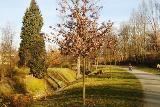 Královská obora-Stromovka