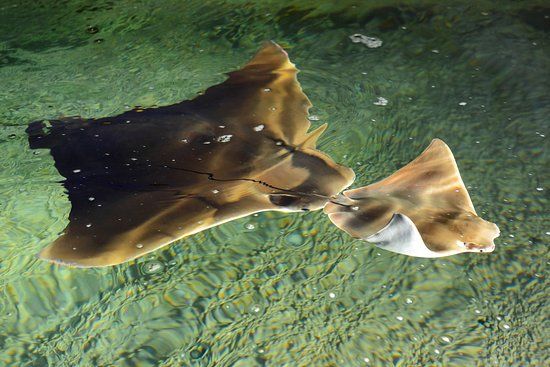 ZOO a zámek Zlín-Lešná