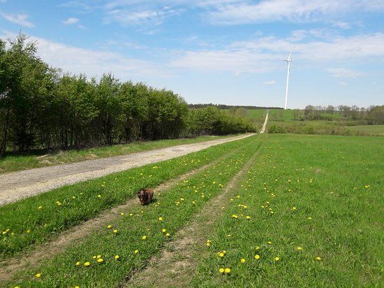 Nejzápadnější bod ČR