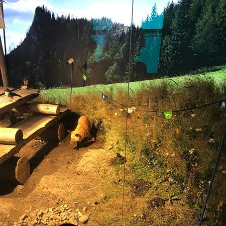 Centrum Edukacji Przyrodniczej Tatrzańskiego Parku Narodowego