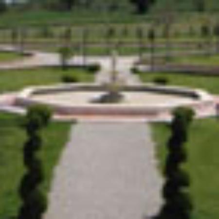 Nudleria pizzeria Seladon