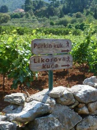 Pravěké hradiště Purkin Kuk