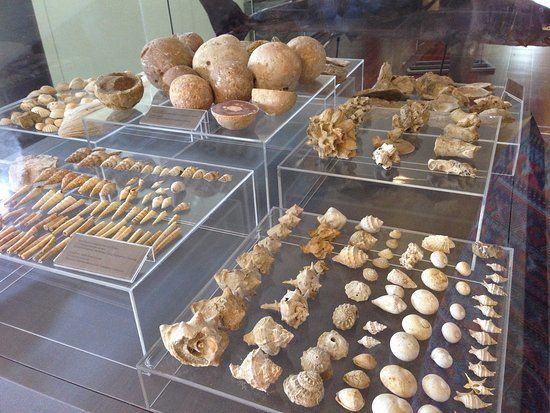 Městské muzeum THALASSA