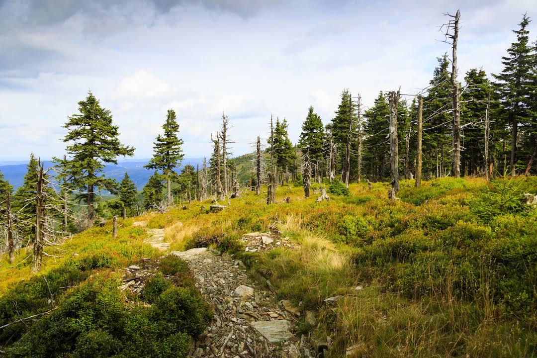 Krkonošský národní park