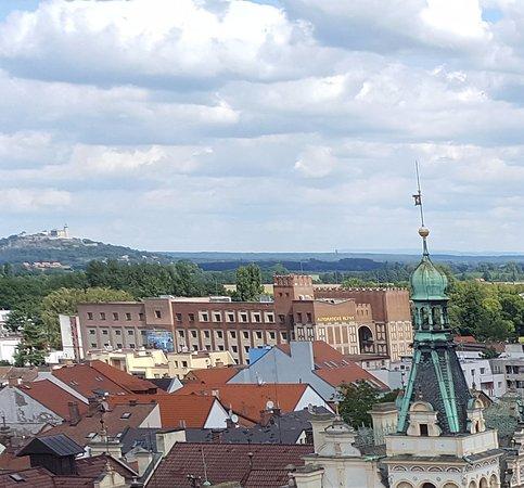 Winternitzovy mlýny