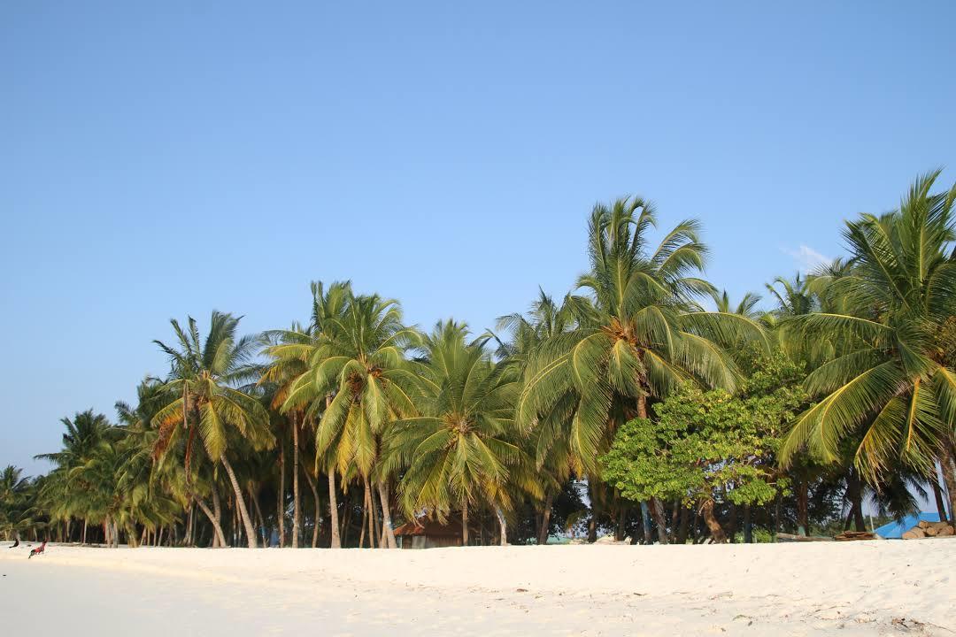 Hanimaadhoo