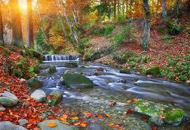 Přírodní park Údolí Bystřice