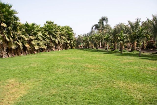 Botanická a zoologická zahrada Viveiro