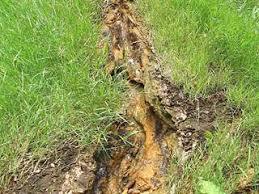 Vyhniansky travertín