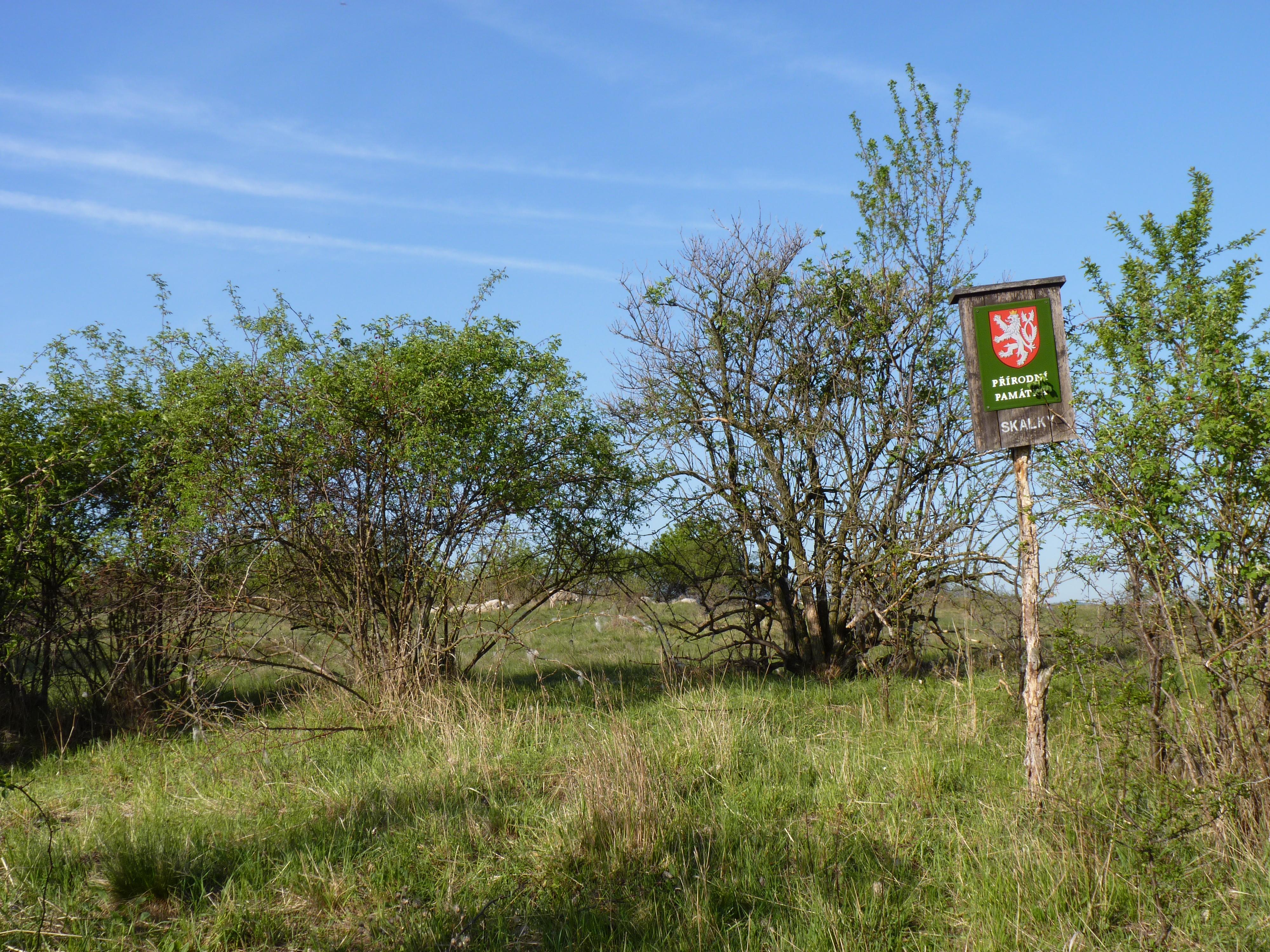 Skalky u Havraníků