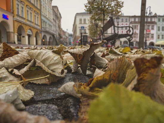 Krakonošovo náměstí