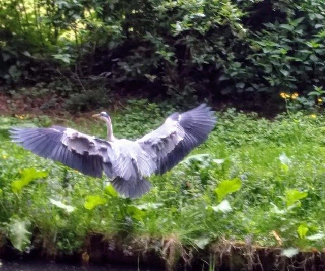 Přírodní park Amsterdamse Bos