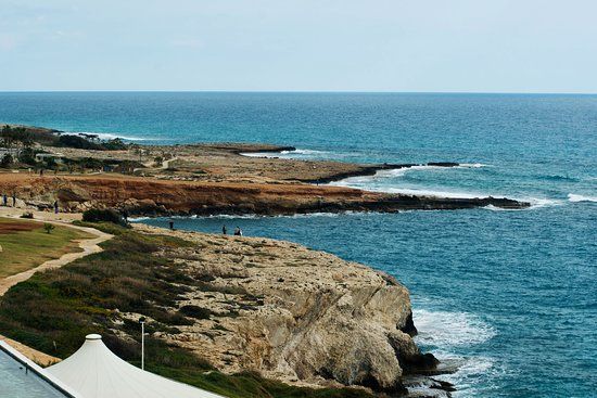 Monachus Monachus Arch