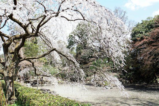 Kjótský císařský palác