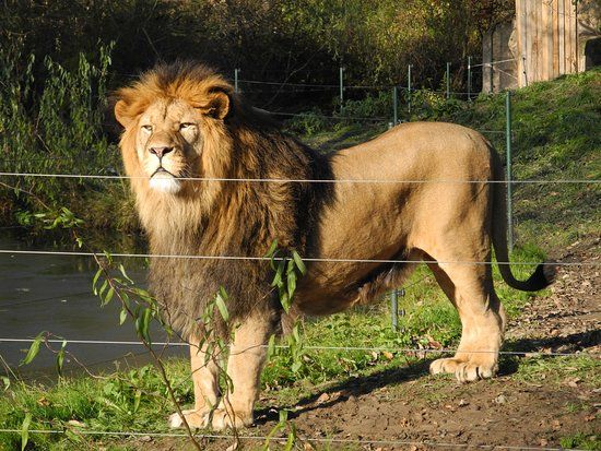 Zoologická a botanická zahrada města Plzně