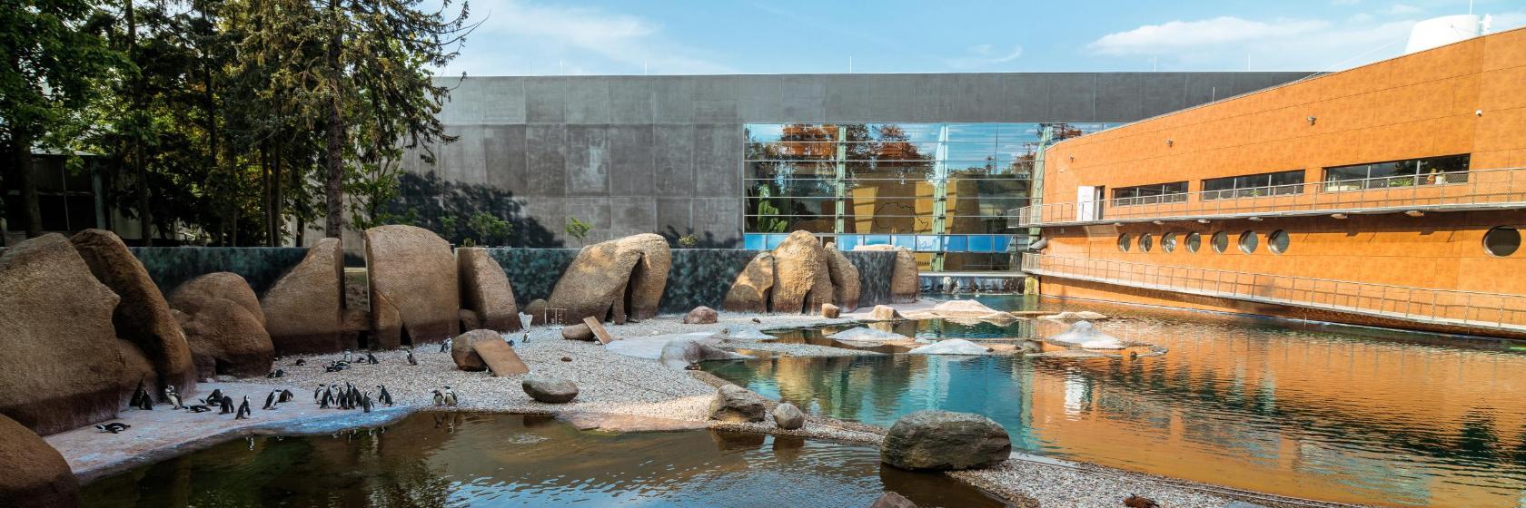 Zoologická zahrada ve Vratislavi