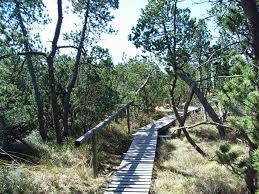 Georgenfeldské vrchoviště