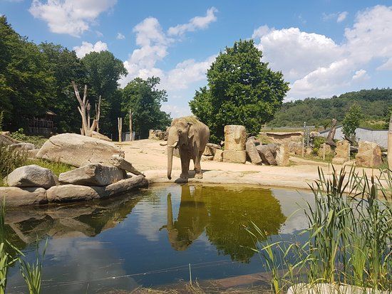 Zoologická zahrada hl. m. Prahy