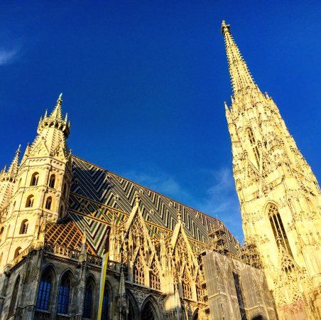 Katedrála svatého Štěpána